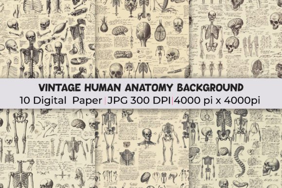 Elevate Your Visuals with Vintage Anatomy Art